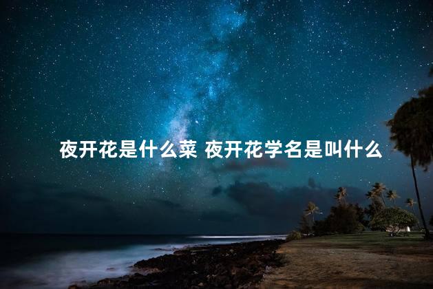 夜开花是什么菜 夜开花学名是叫什么